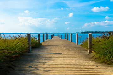 Straight wooden bridge with wooden posts as a fence. Recreation area at Veluwe sea near Nunspeet, Veluwemeer, Gelderland, Netherlands 
Dreaming scene with blue sky and cumulus clouds.
