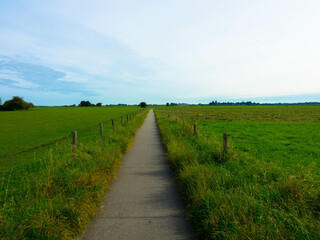 Long distance bicycle road through dutch landscape,
Narrow asphalt road between meadows. Provinz Gelderland, Netherlands