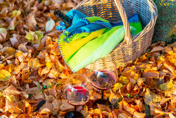 Fototapeta premium A cozy orange autumn picnic in the park, a warm autumn evening.Basket with a blanket, wine and glasses on golden orange autumn leaves.