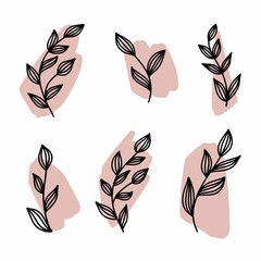 Vector drawing of twigs with leaves
