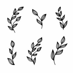Vector drawing of twigs with leaves