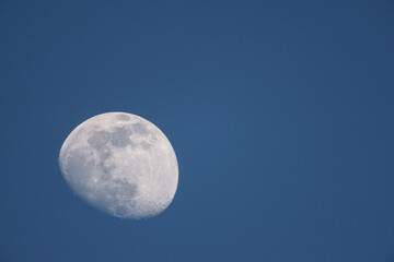 Mond