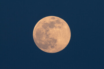 Mond
