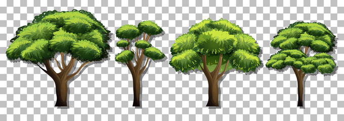 Set of various trees on transparent background