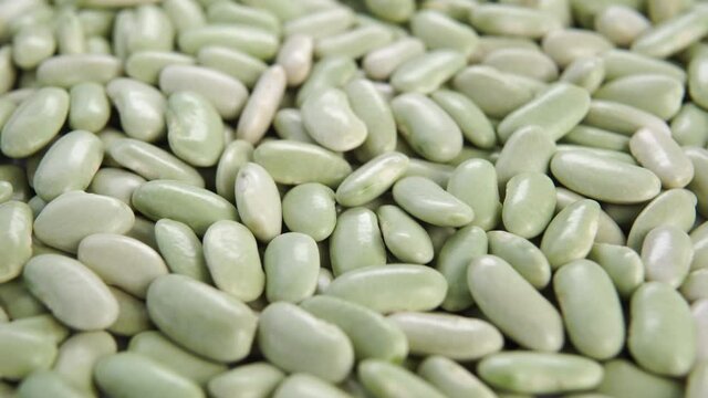 Spanish green beans Verdina close up. Rotation. Dry Asturian legumes. Traditional cuisine