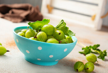 Fresh gooseberries in blue bowl. Top view.