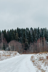 Winter pnie forest with snowy road. Road going into fir trees with snow. © Маргарита Щипкова