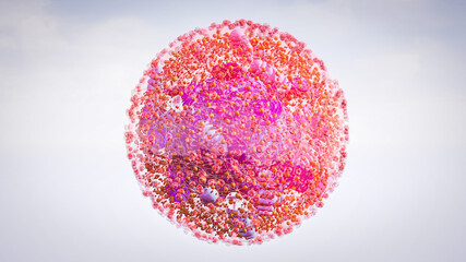 human cell components of an eukaryotic cell, nucleus and organelles and plasma membrane Golgi, mitochondria,   smooth ER, rough ER, lysosome, endosome,  3d rendering