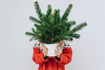 a modern woman in a red sweater with fir branches in her hands at Christmas on a light background....