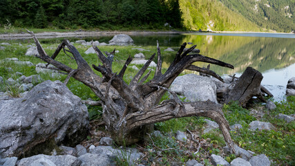 Gosausee at the foot of the Dachstein