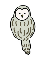 フクロウのイラスト　ウラルフクロウ