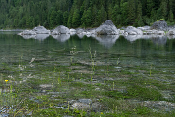 Gosausee at the foot of the Dachstein