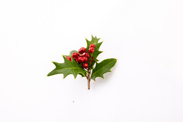 クリスマス