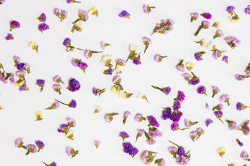 Purple and nature flowers for background. 