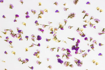 Colorful flowers over the white background. 
