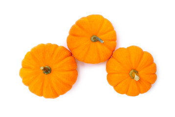 Fresh ripe pumpkins on white background, top view