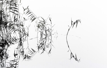 Abstract plants with reflection on the water, calm lake landscape
