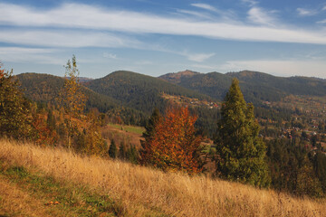 Fototapeta na wymiar mountain autumn landscape with colorful forest
