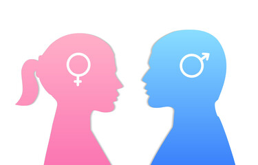 Gender pink and blue icon vector illustration