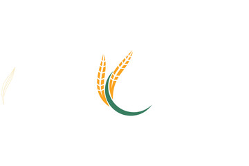 Wheat logo template design vector, icon illustration