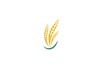 Wheat logo template design vector, icon illustration