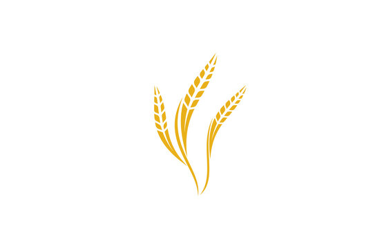 Wheat logo template design vector, icon illustration