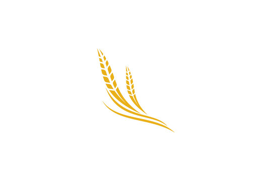 Wheat logo template design vector, icon illustration