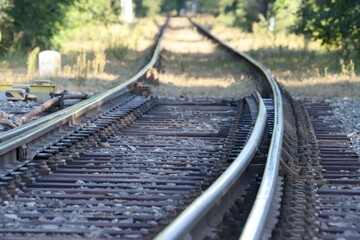 old railroad in forest