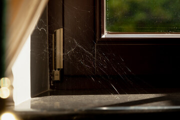 Fototapeta na wymiar Cobweb in corner of modern window close up
