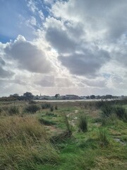 Obraz premium landscape with clouds