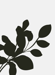 Silhouettes of plants and leaves. Abstract black and white minimalistic poster.