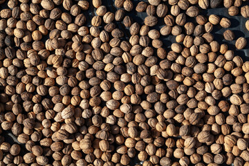 Walnuts lie black on background