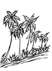 Fototapeta na wymiar Black outline of palm trees on a white background