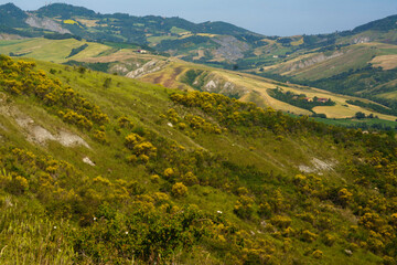 Fototapeta na wymiar Rural landscape on the hills near Imola and Riolo Terme