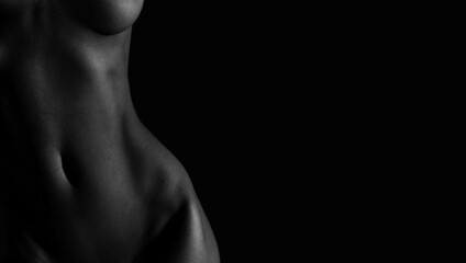 Beautiful lines of the female body on a dark background