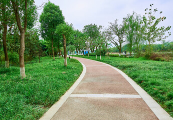 The path in the park