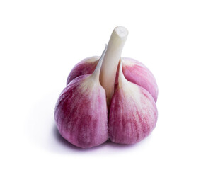 Fresh garlic bulb isolated on white