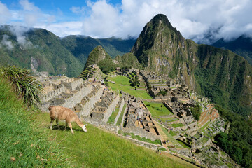 View of Machu Picchu ruins in Peru. Archaeological site, UNESCO World Heritage. - 466696502