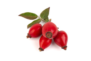 The rosehip isolated on white background. Fresh raw berries with leaves.