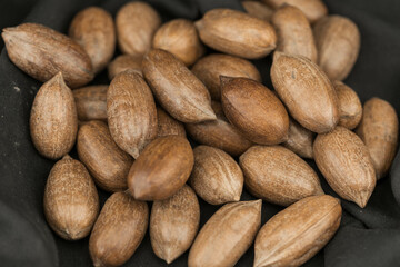 Frische braune Pekannüsse
