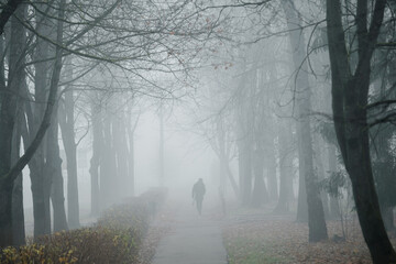 A deserted alley in Obninsk in late fall in the fog