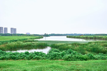 Wetland Park in Chengdu, Sichuan, China