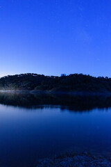 Nightfall in the woods