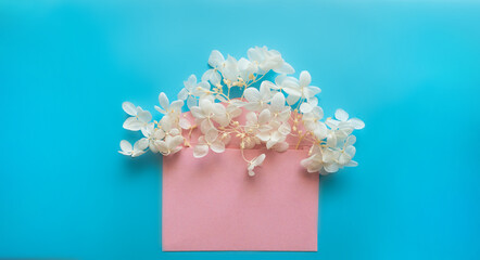 Pink envelope with white flowers hydrangea inside on a blue background.
