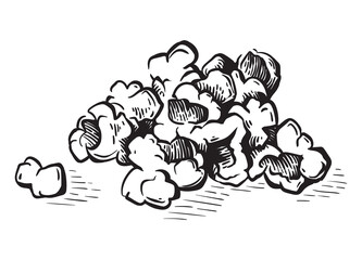 Pop corn sketch style vector illustration. Old hand drawn engraving imitation
