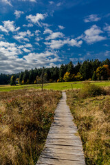 Fototapeta na wymiar Herbstspaziergang durch die wunderschöne Natur des Thüringer Waldes - Thüringen