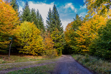 Herbstspaziergang durch die wunderschöne Natur des Thüringer Waldes - Thüringen