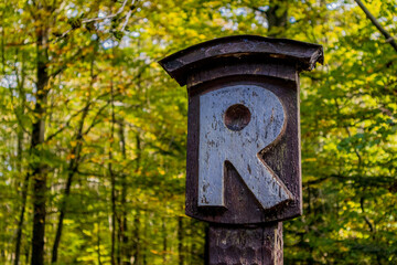 Herbstspaziergang durch die wunderschöne Natur des Thüringer Waldes - Thüringen
