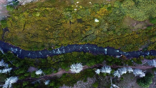 Aerial drone top bird's eye view of a small stream up in the high uinta national forest between Utah and Wyoming on a deep backpacking trail near the lower red castle lake.