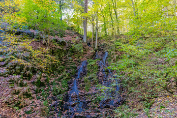Fototapeta premium Herbstspaziergang durch die wunderschöne Natur des Thüringer Waldes - Thüringen